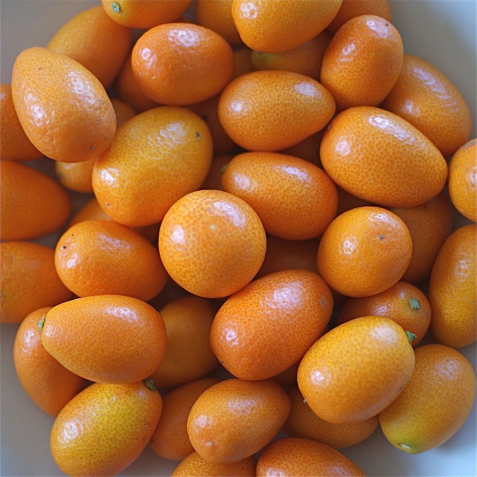 how-to-buy-store-and-use-kumquats