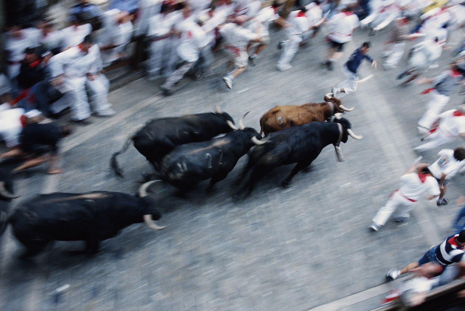 car safety pamplona Tips With San at on the Bull Fermin Bulls Run Running