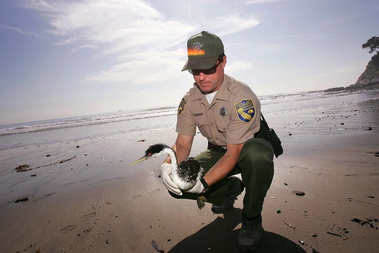 Fish and Game Warden Career Profile