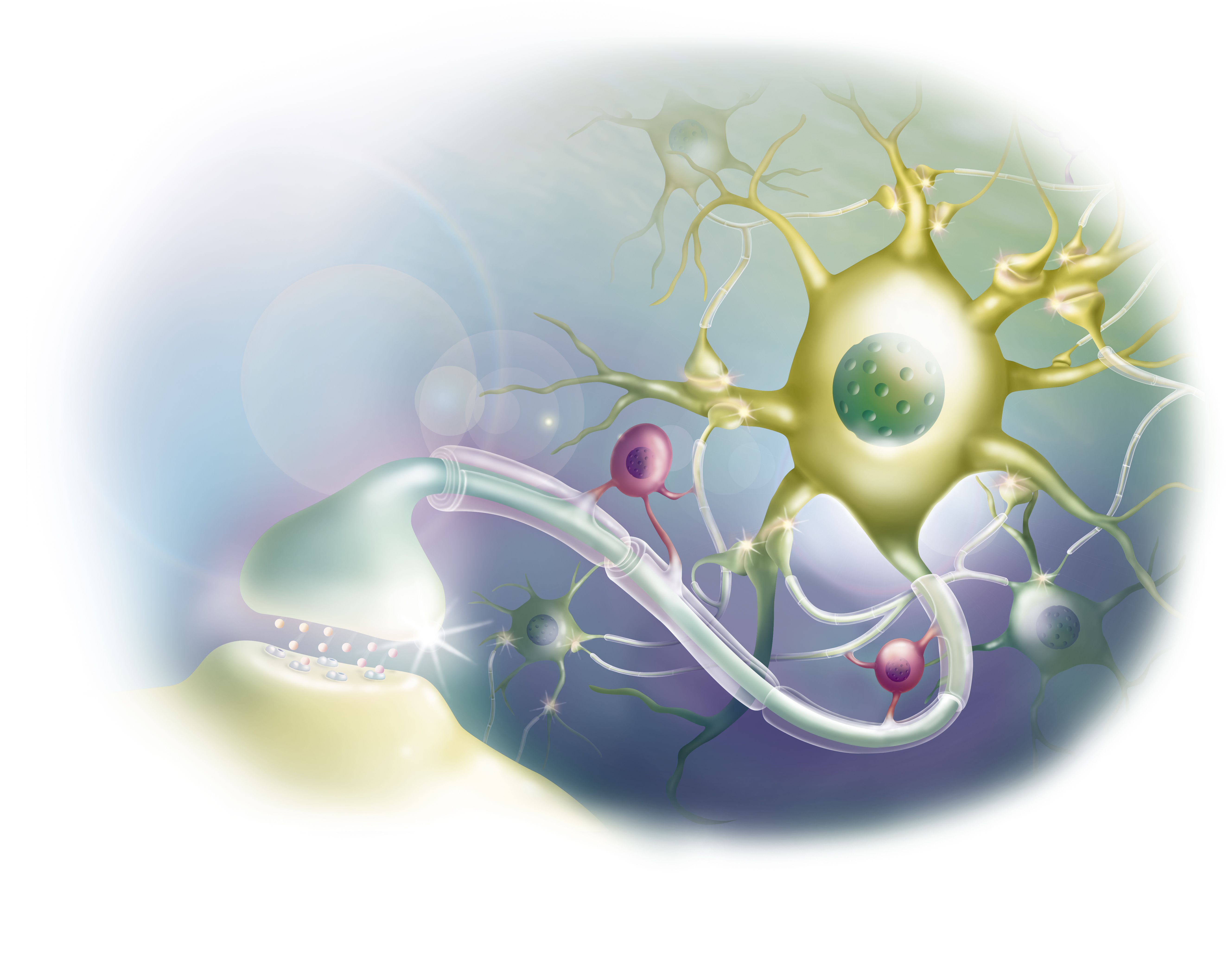 Overview of the Different Parts of a Neuron diagram of thyroid surgery 