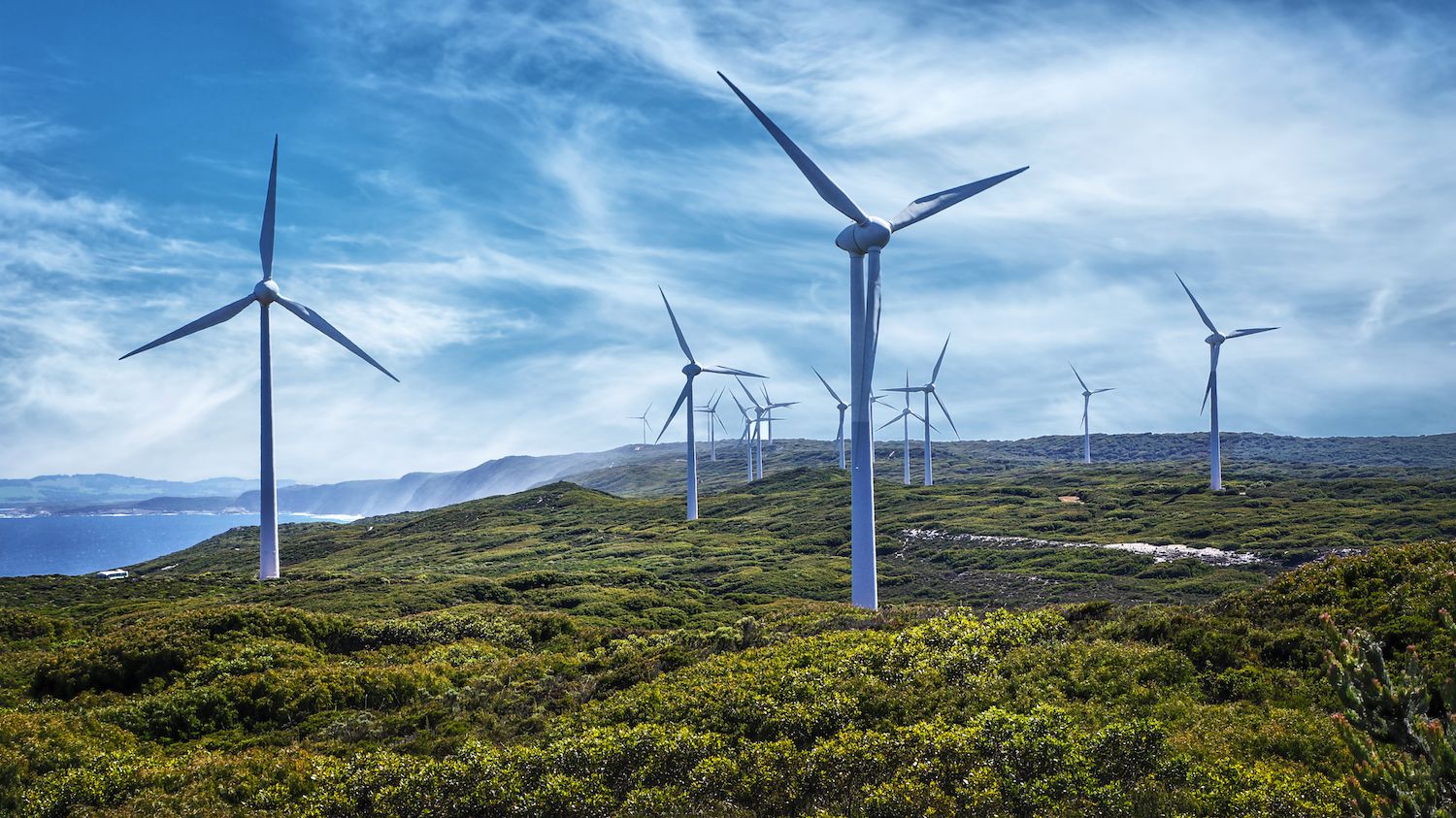 How to Build a Wind Power Farm