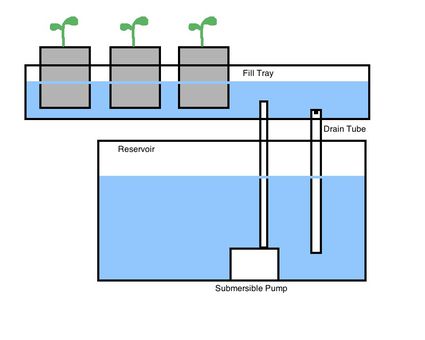 Hydroponic Gardens: The Lettuce Raft Method