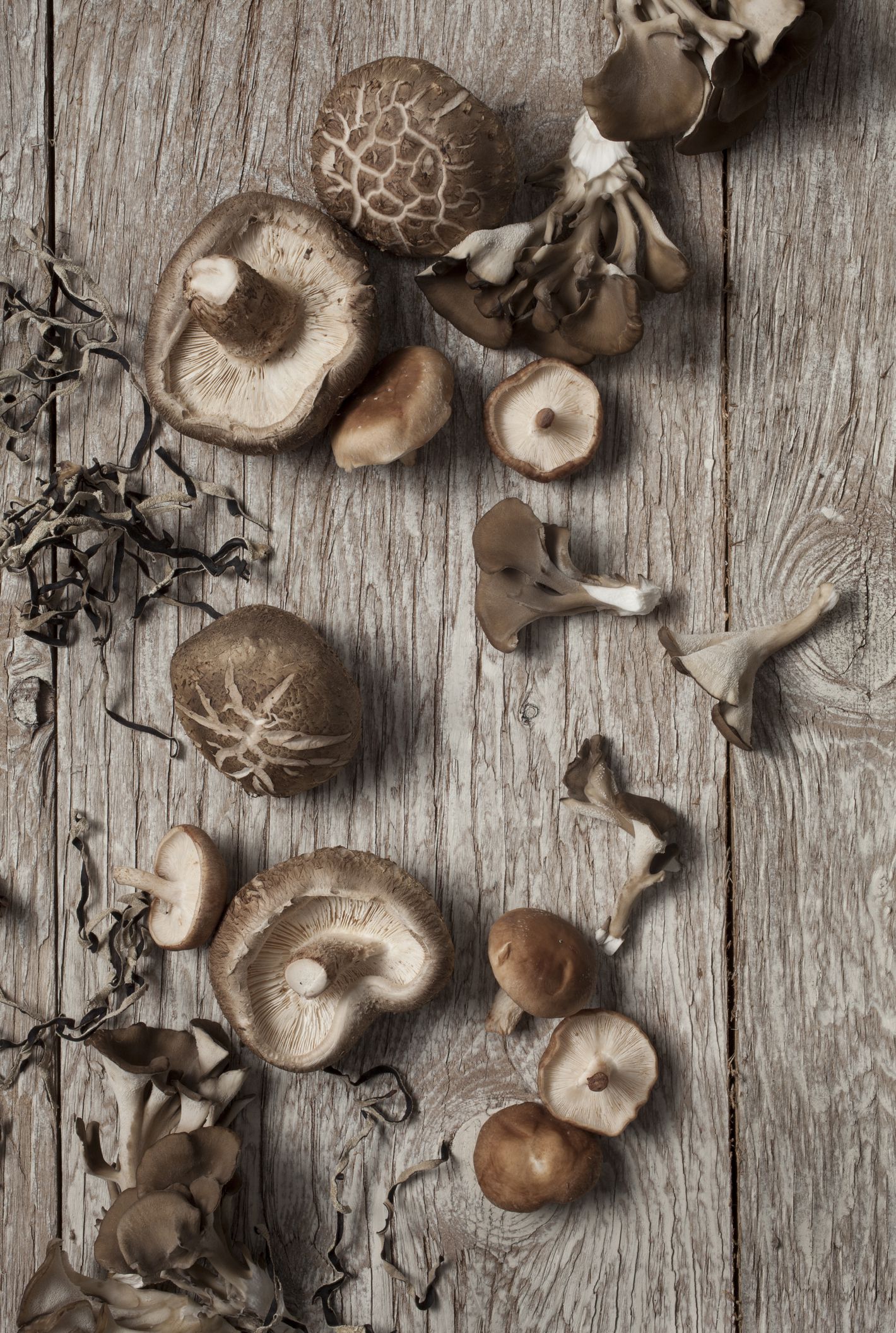 How To Rehydrate Chinese Dried Mushrooms