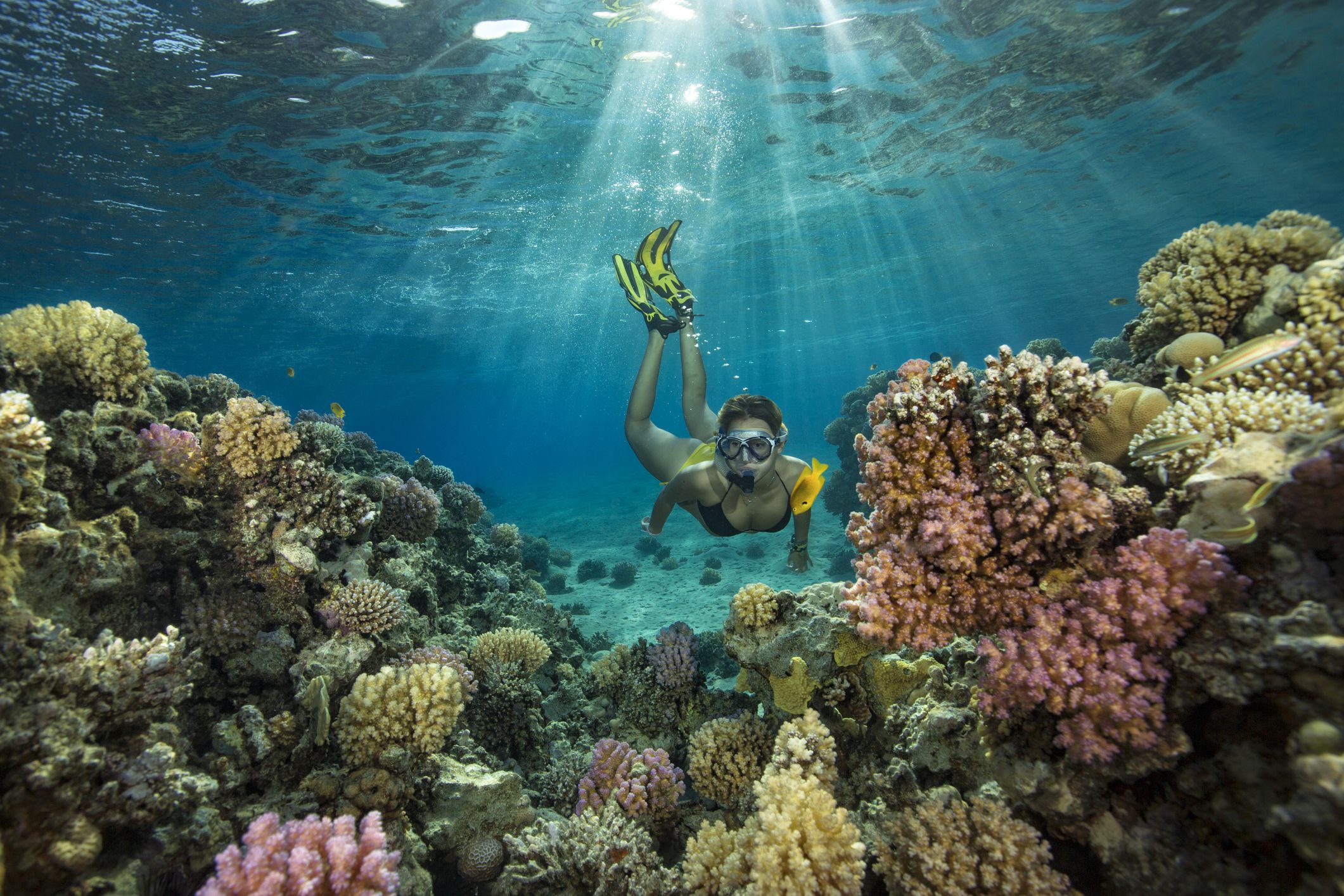 Reef-safe and Biodegradable Sunscreen: What You Should Know