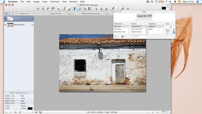 darktable for windows review