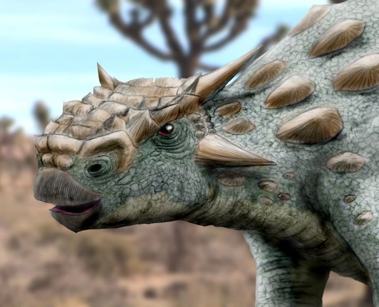 types of armoured dinosaurs