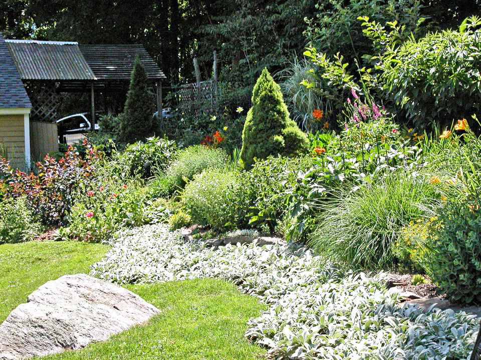 Five Easy Ways to Fix an Overgrown Garden