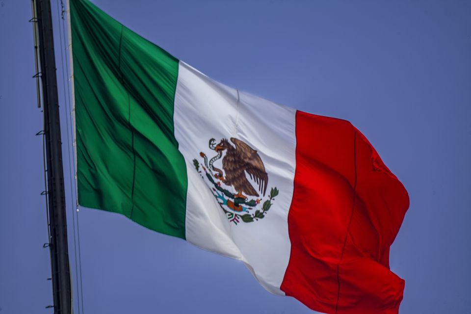 Image result for mexico flag