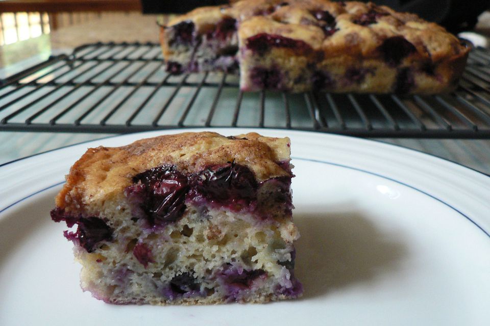 Low Fat Blueberry Cake 78