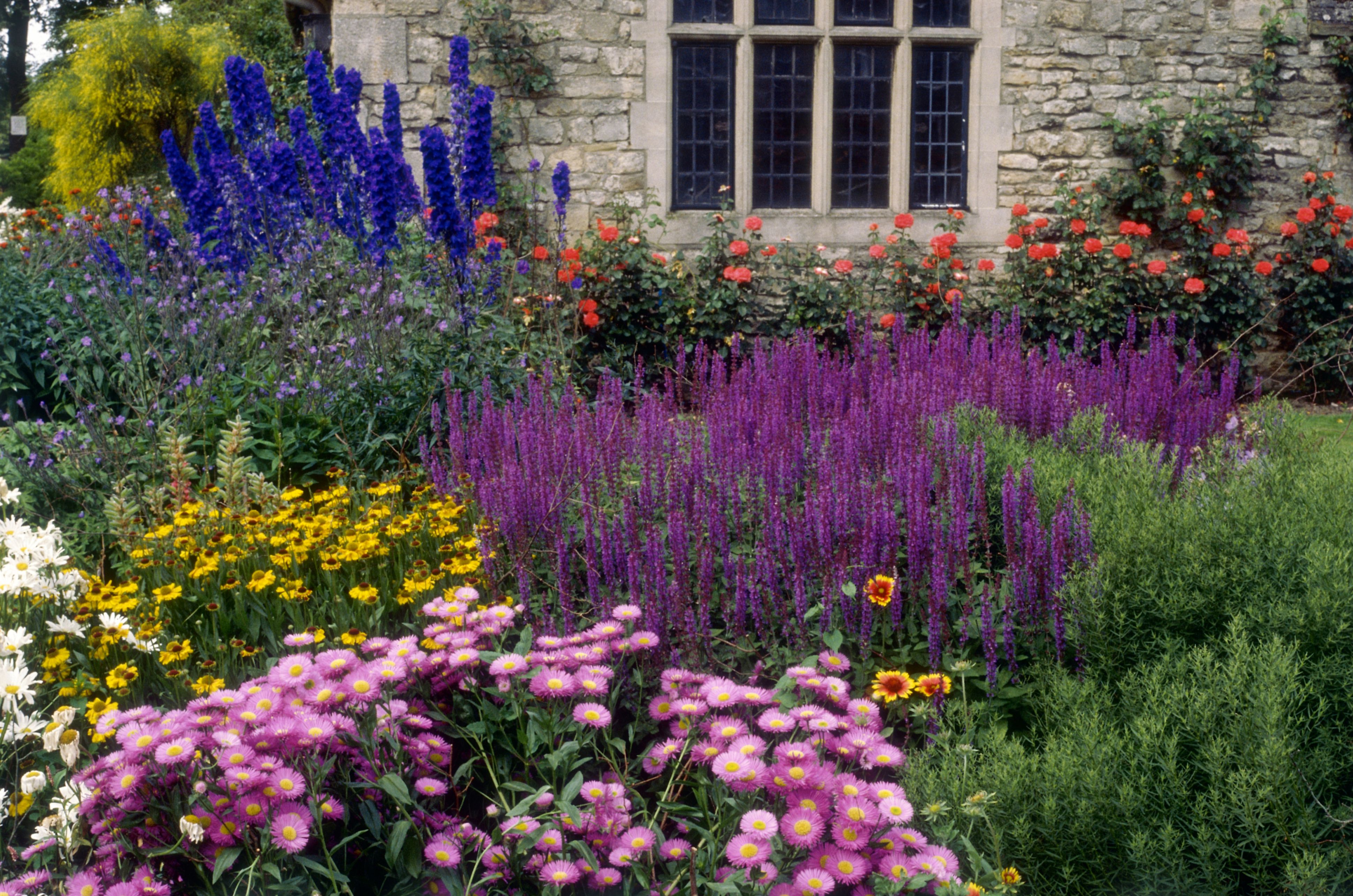 Summer Flower Garden Border Ideas