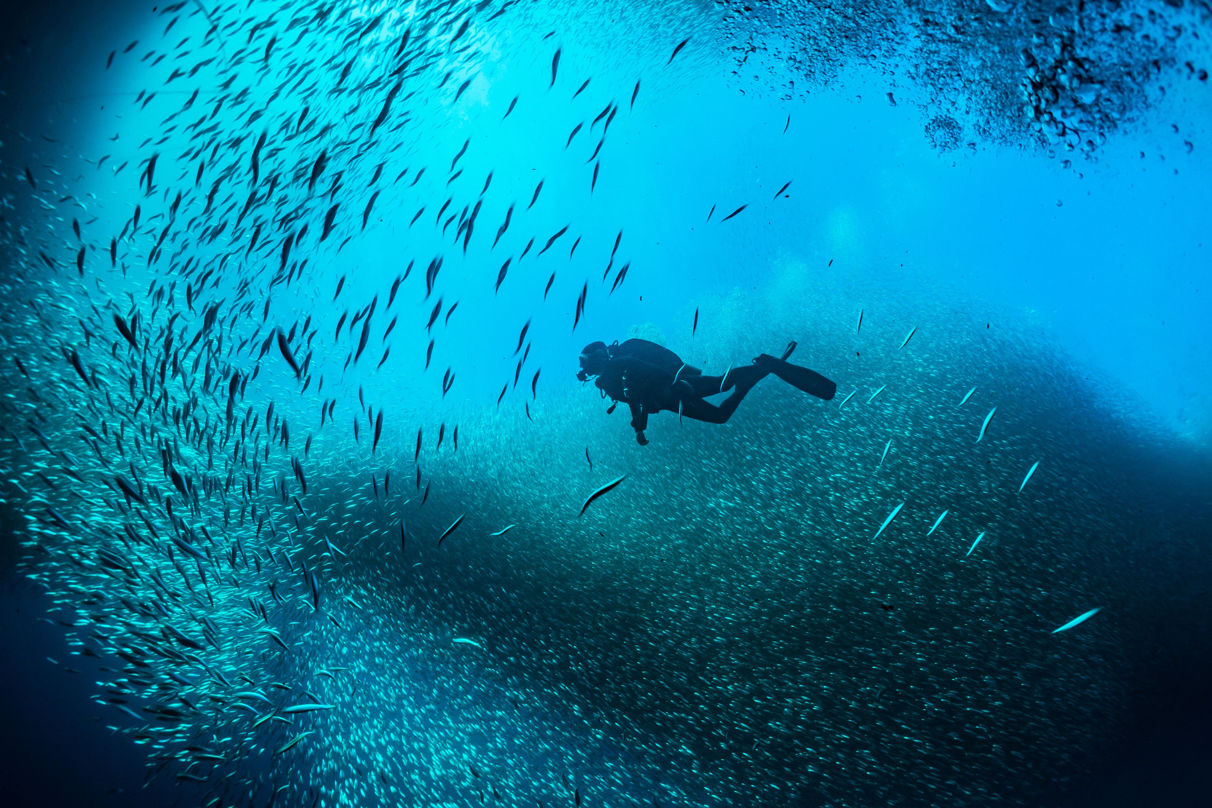 Narcosis Diving