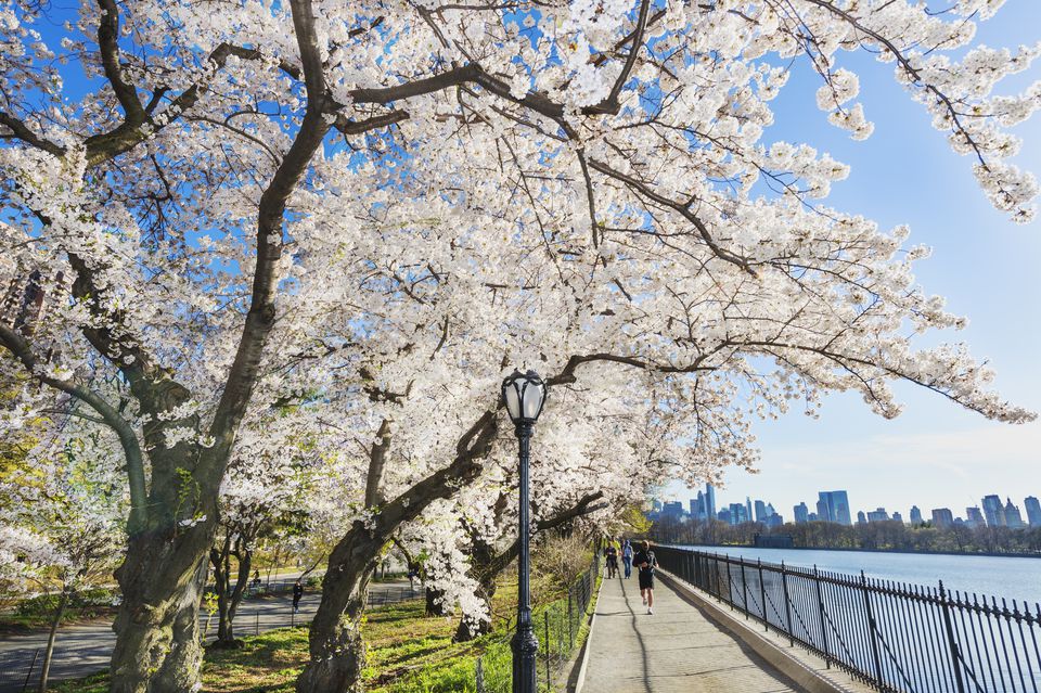 April in New York City Weather and Event Guide