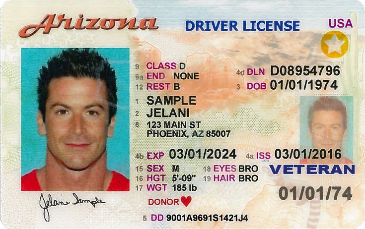 Arizona Drivers License Renewal Fee