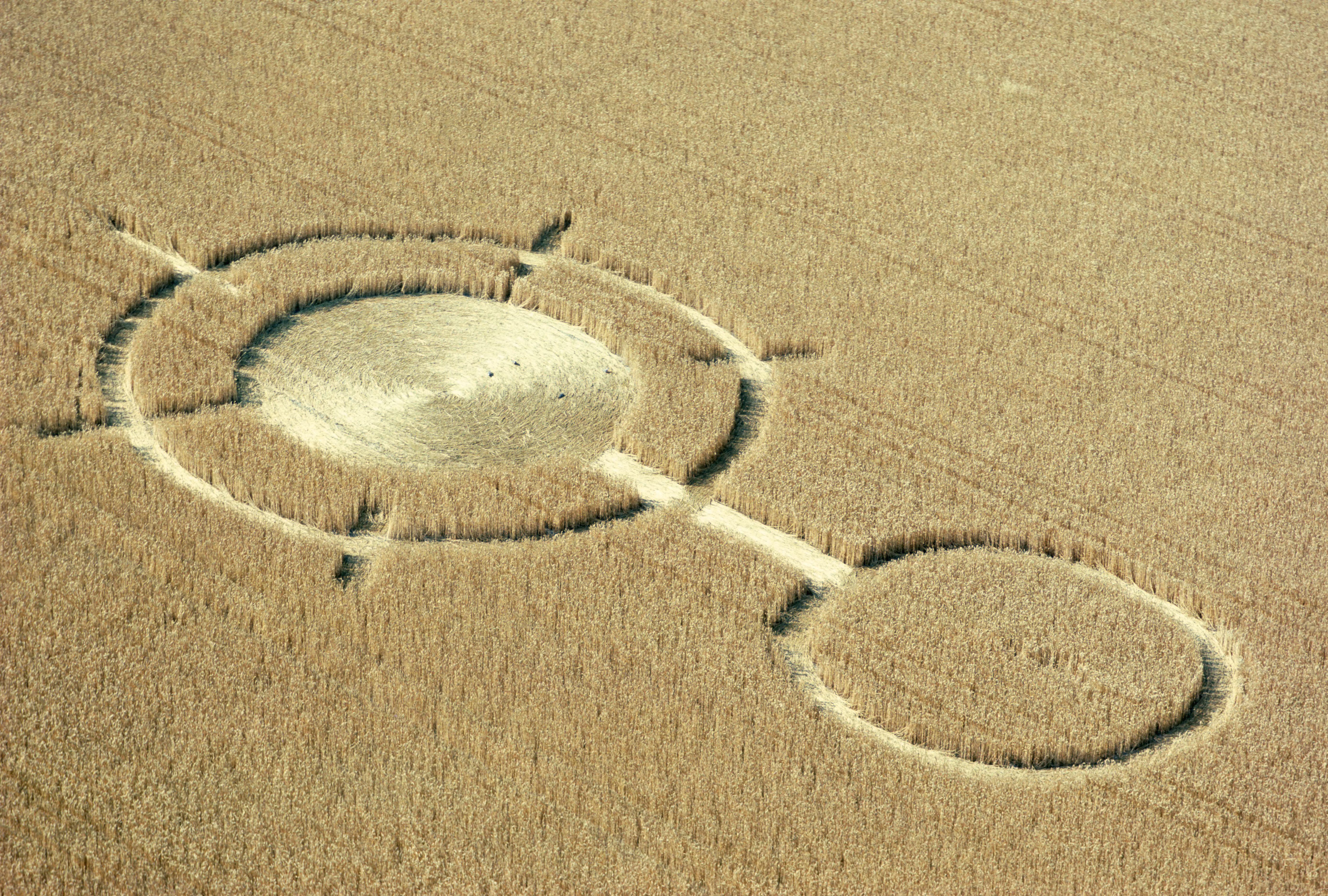 The Best Evidence of the Paranormal in Crop Circles
 Famous Crop Circle