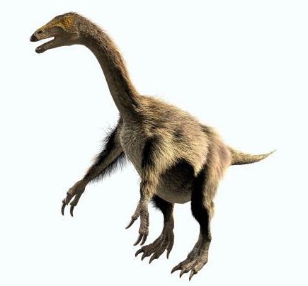 therizinosaurus family