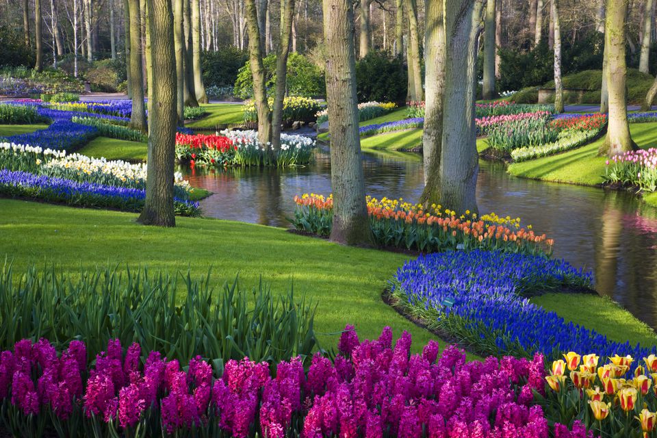 Best Way to Get to the Keukenhof Tulip and Bulb Gardens