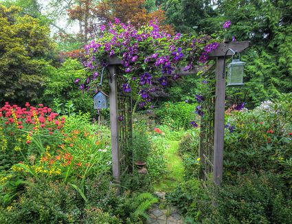 garden arbor resized 56a585f75f9b58b7d0dd4349