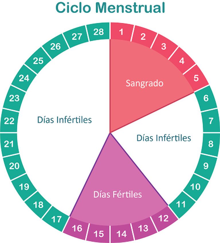 Resultado de imagen para ciclo menstrual