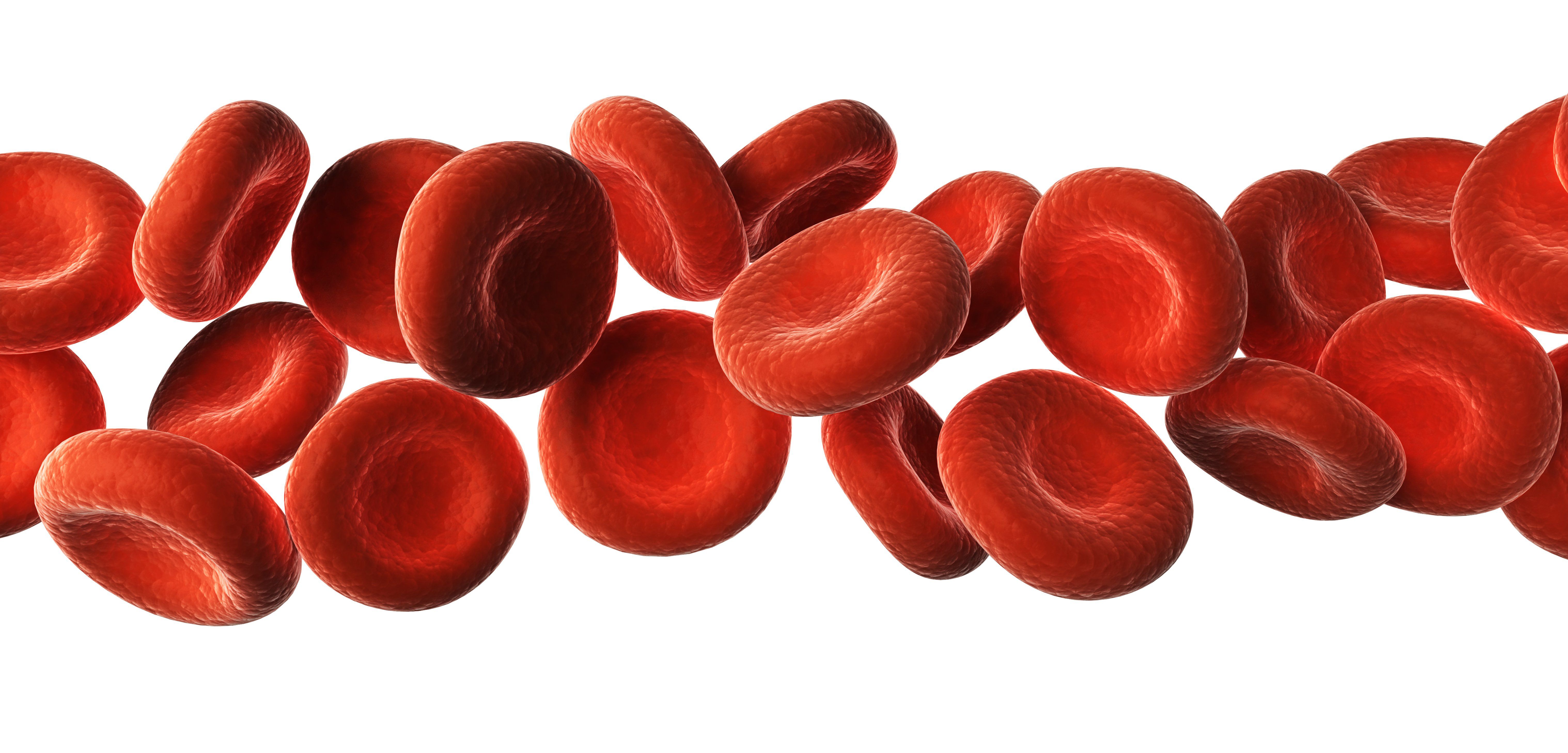 List Of Common Blood Chemistry Tests