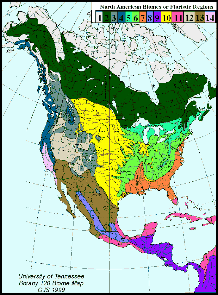 North America Biome Map