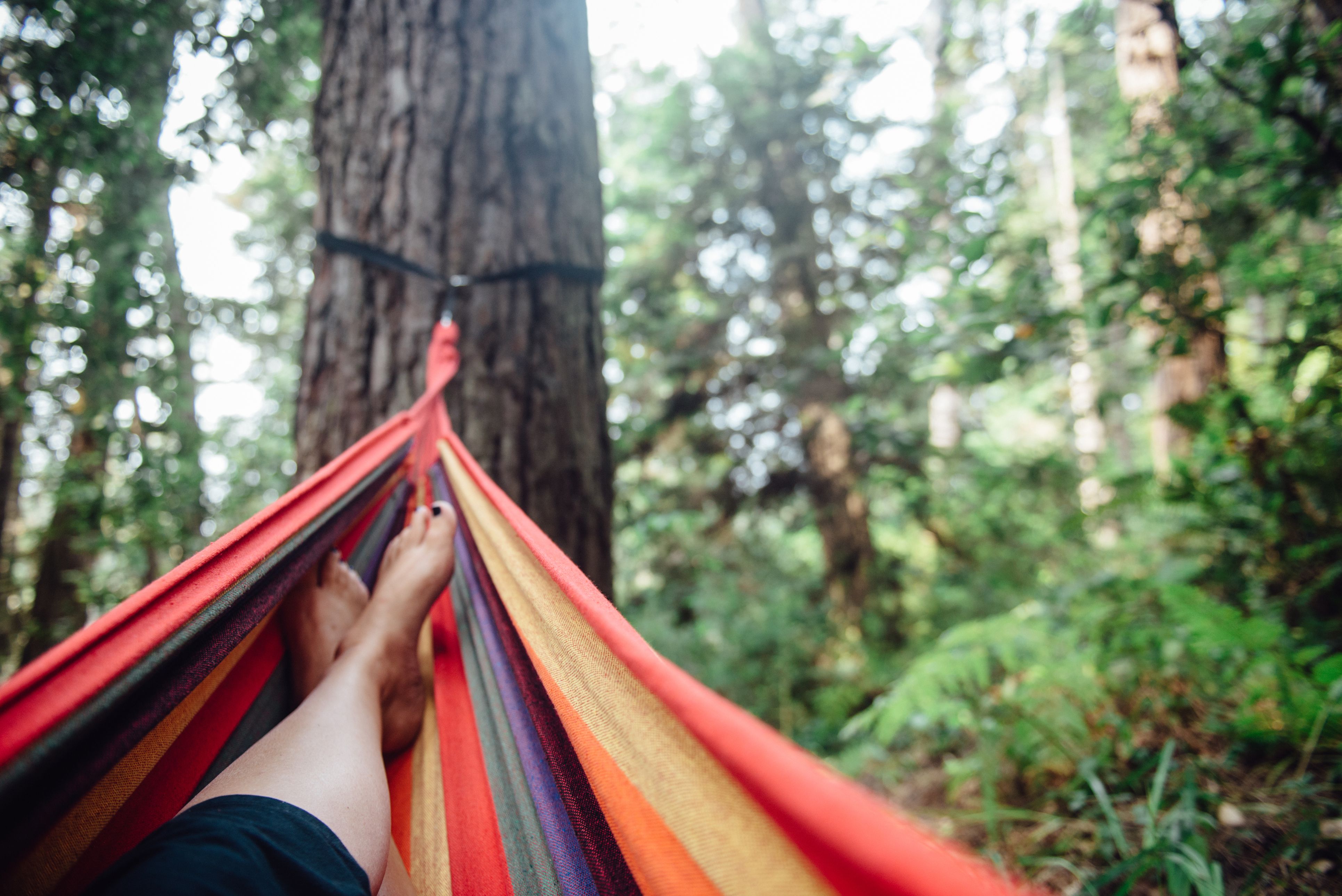 Mendocino Camping and Campgrounds: Best Places