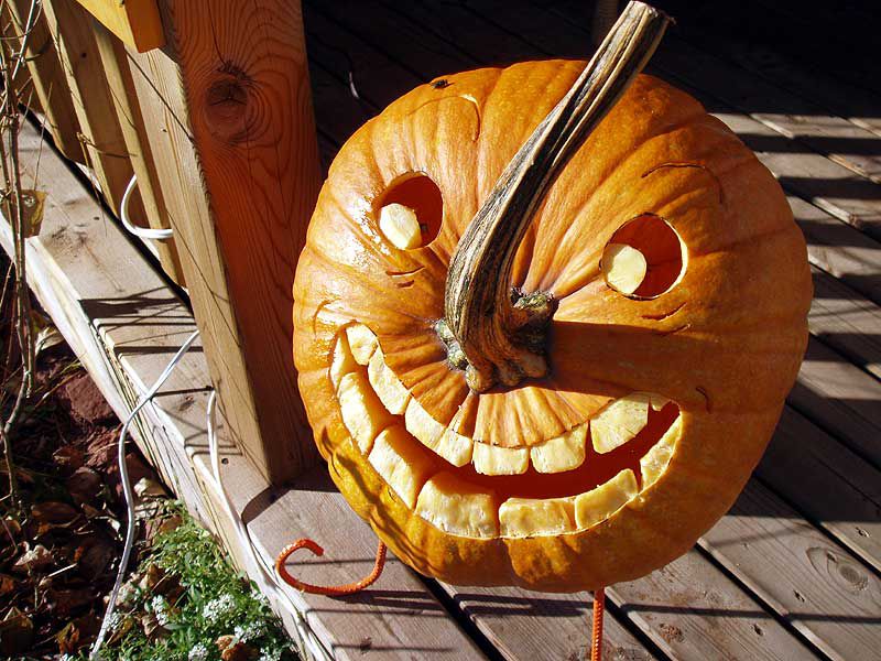 24 Pumpkin Carving Ideas for Kids