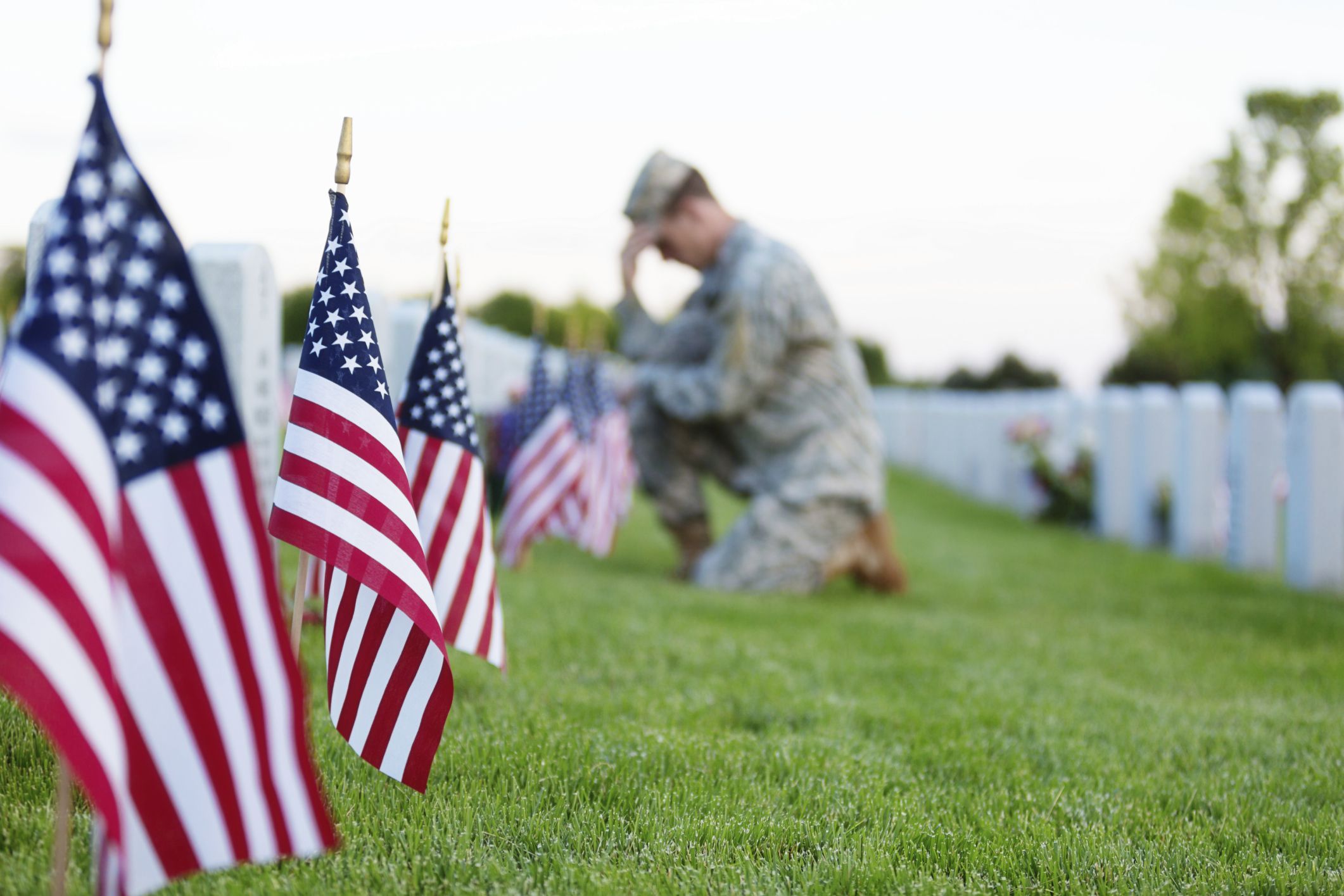 history of veterans day essay