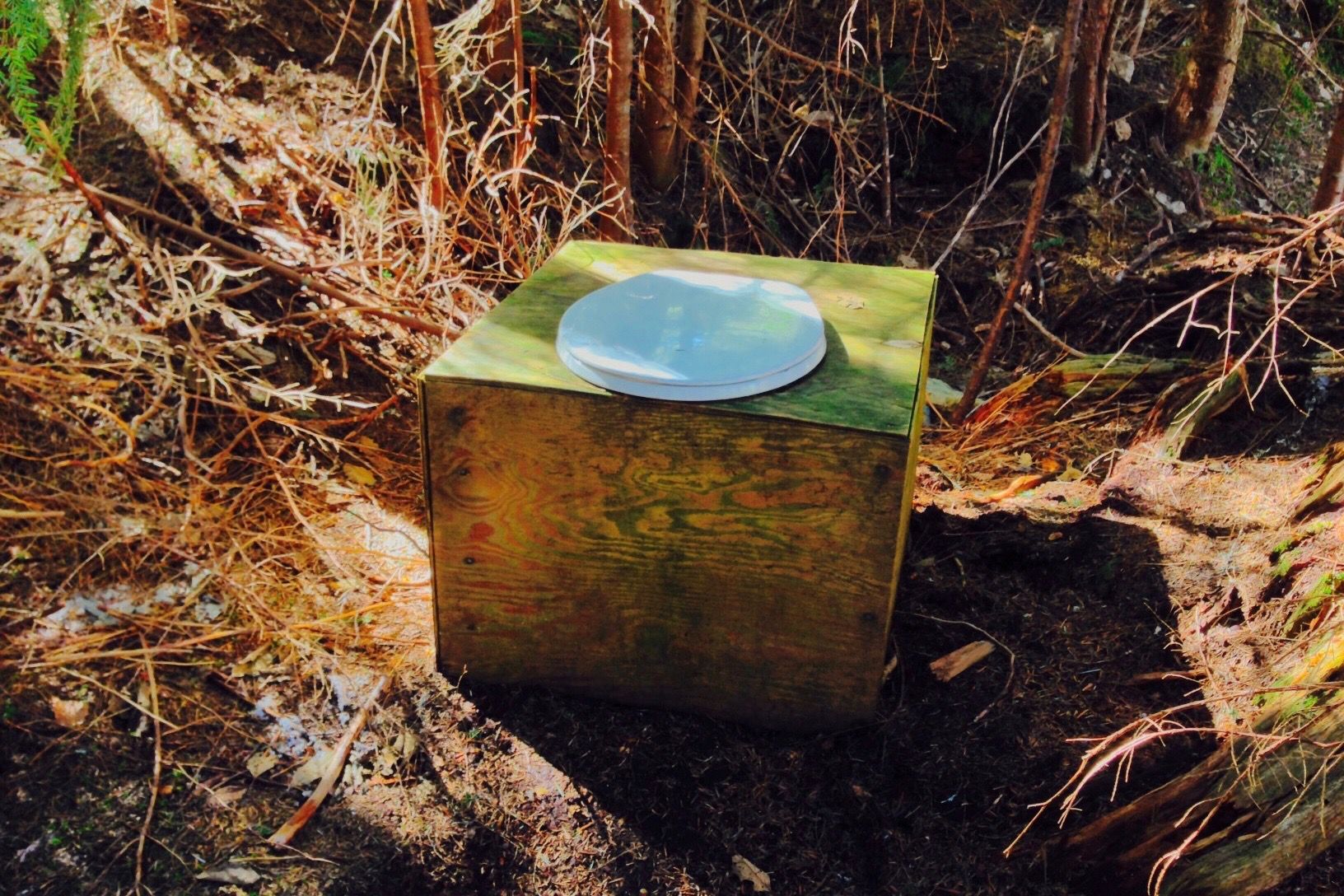 How to Perfect the Art of Going to the Bathroom Outdoors