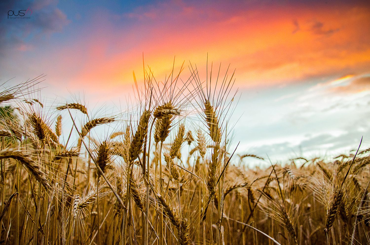 can-you-eat-barley-if-you-re-gluten-free