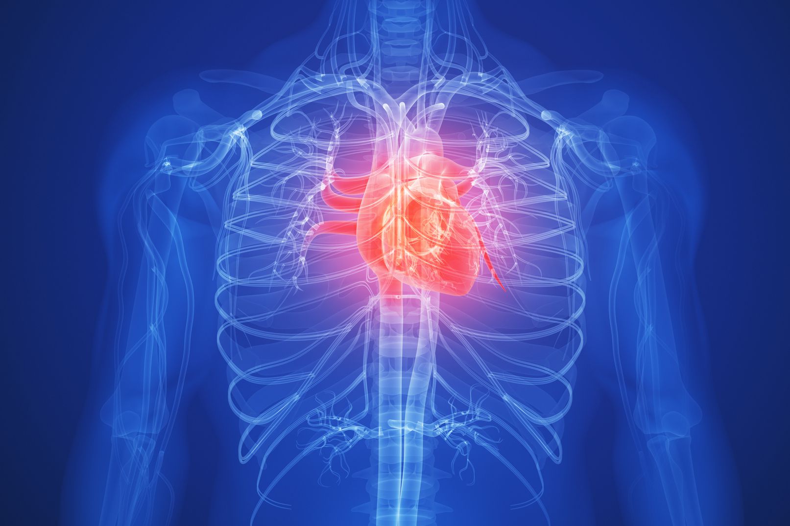 Rheumatoid Arthritis and Increased Heart Disease Risk