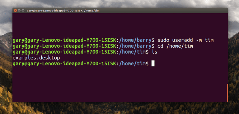 wireshark linux log directory