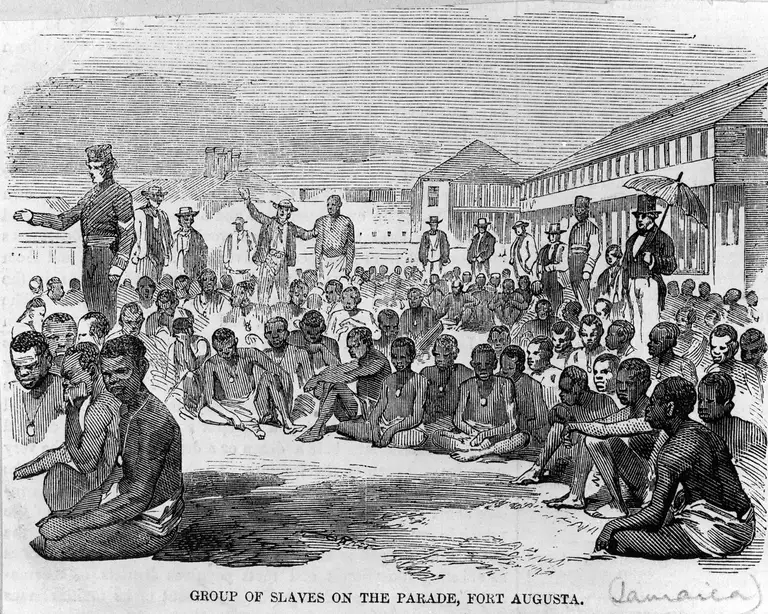 Black and white etching of slaves freed after the US Civil War