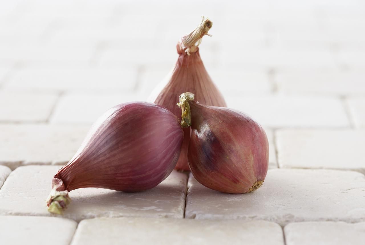 shallots-and-onions-are-they-the-same-thing