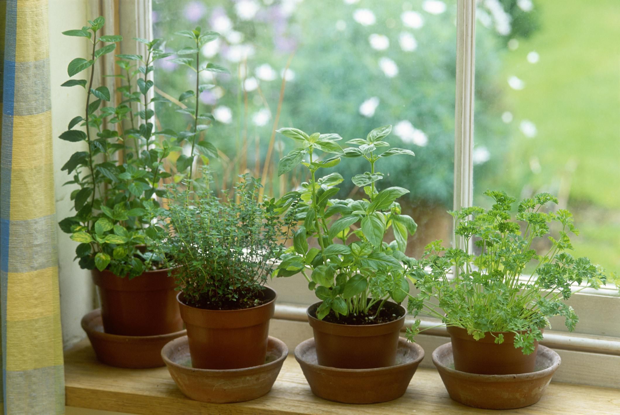 Window Herb Garden Ideas