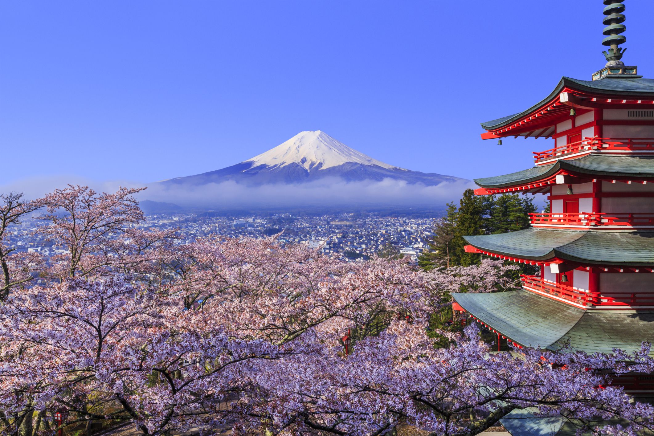 Japanese for Travelers: Getting Around
