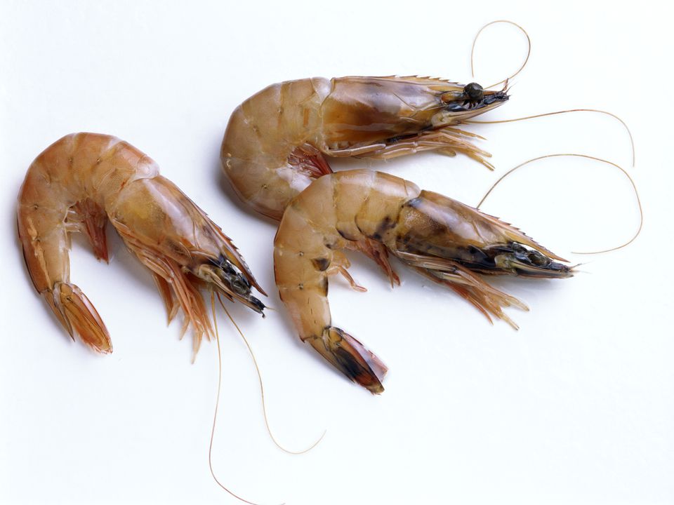 shrimp-storage-and-selection-varieties-sizes-more