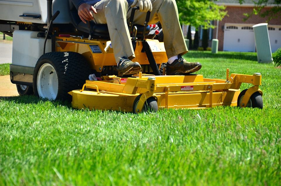 Find out About Zero Turn Mowers