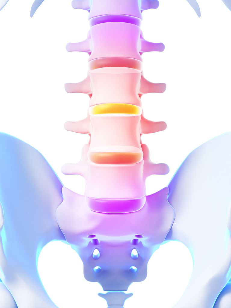 define-lumbar-how-does-this-term-relate-to-my-aching-back