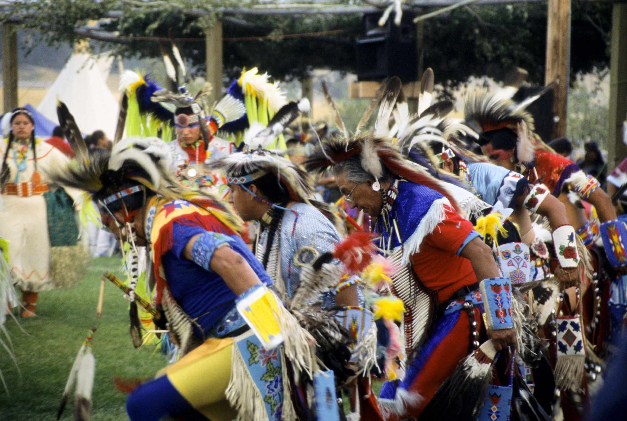 native-american-dance-regalia-the-art-of-powwow