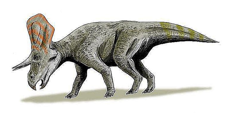 turanoceratops