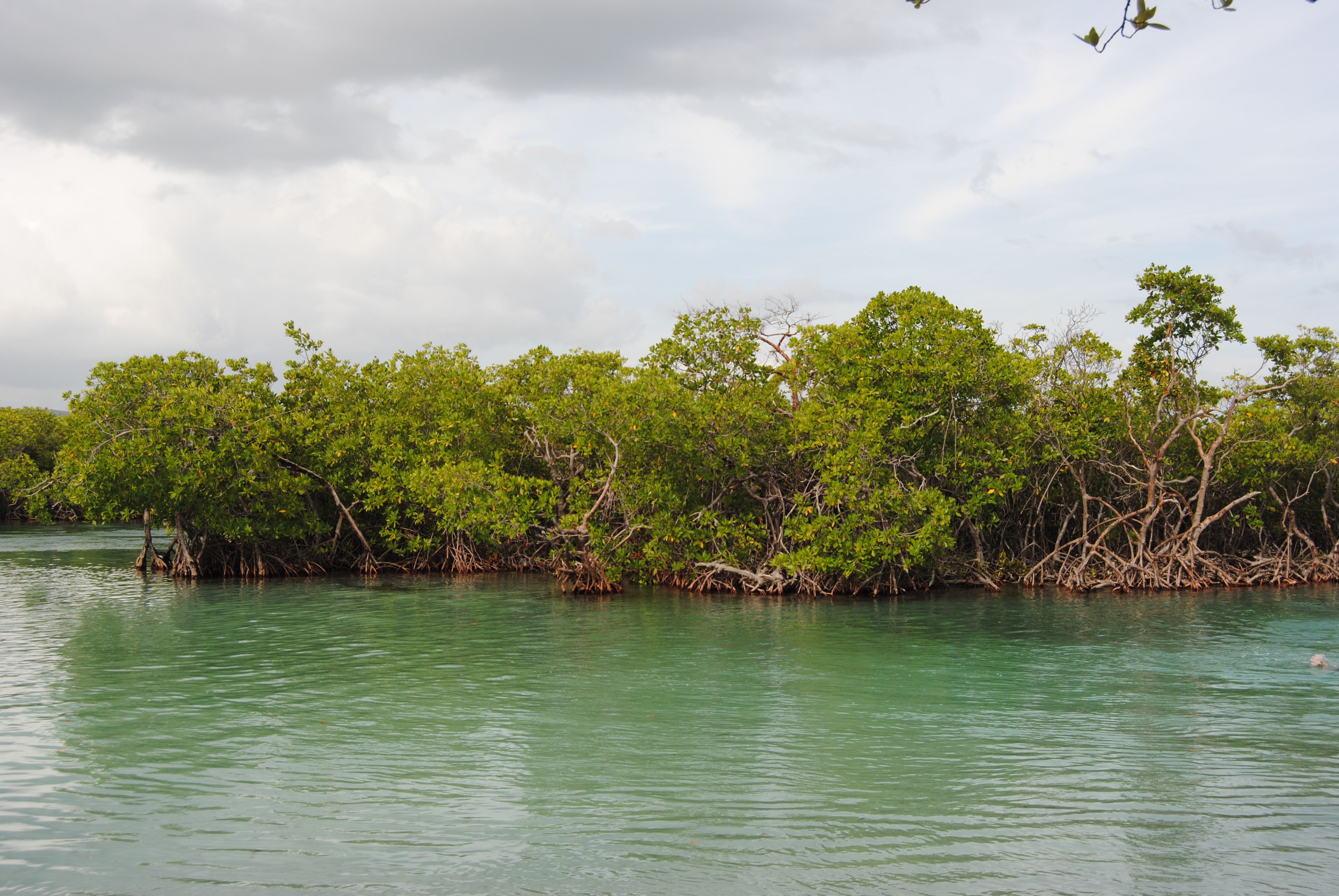 Discover Puerto Rico's Very Own Gilligan's Island