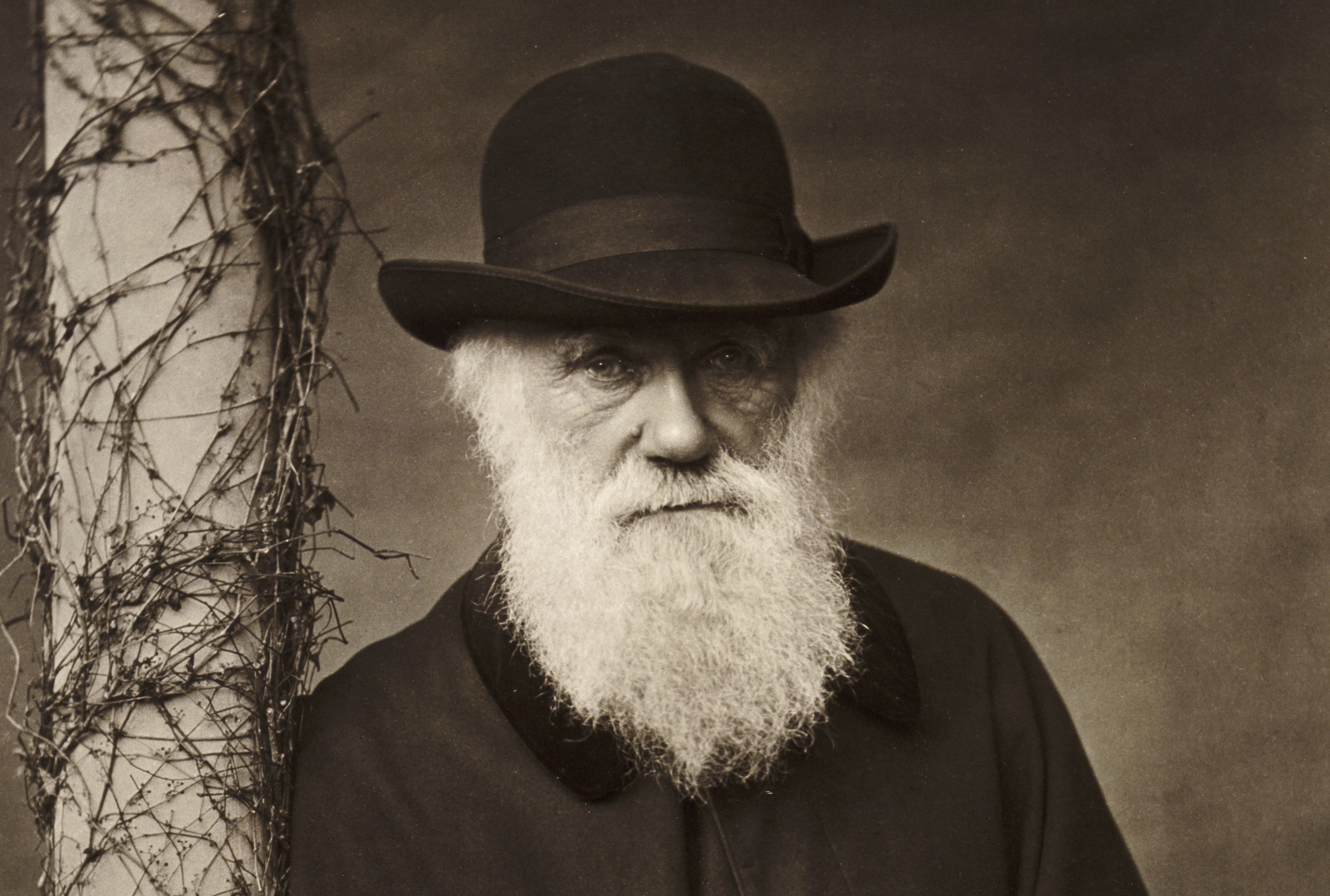 Charles Darwin Author Of On The Origin Of Species