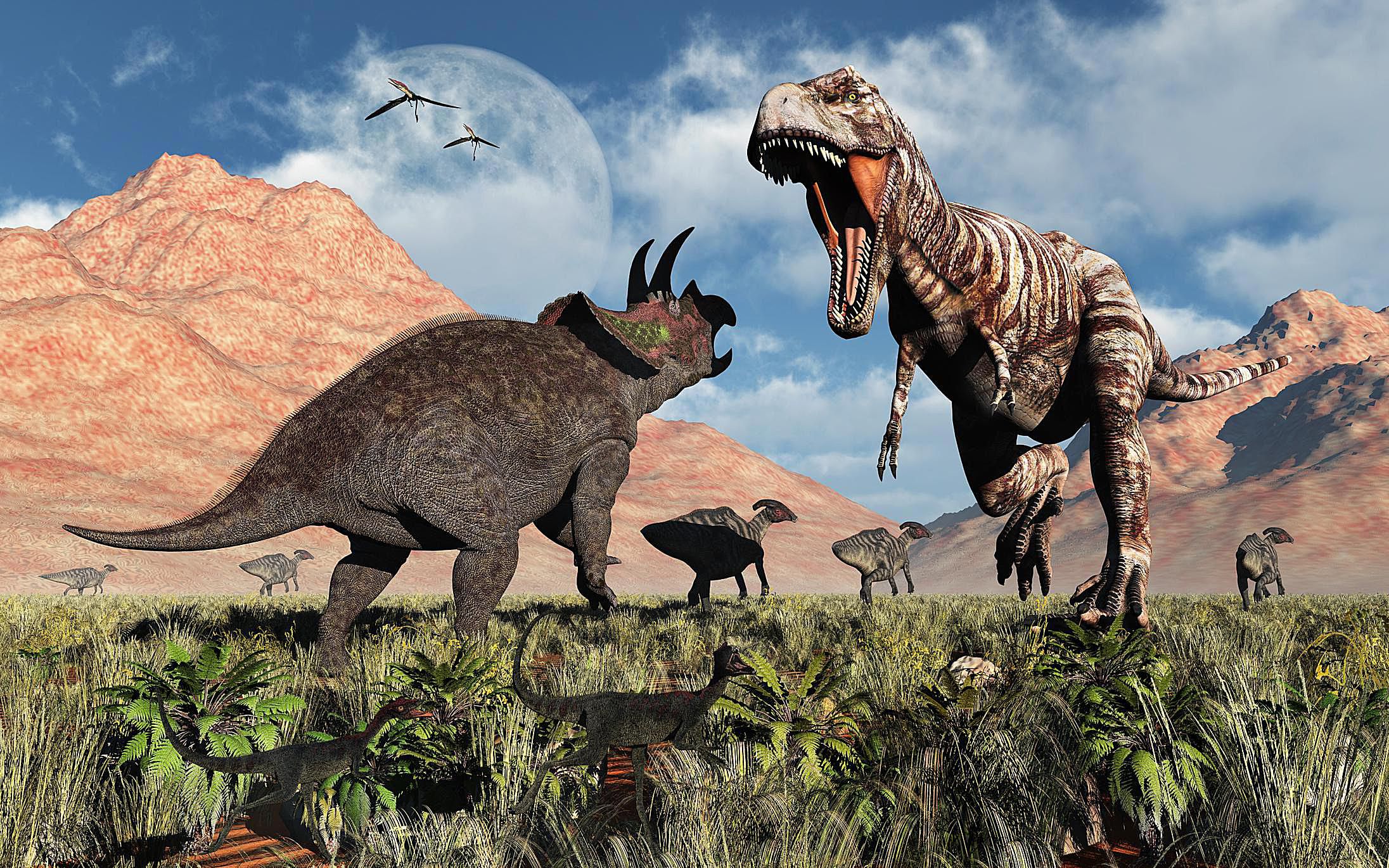 Трицератопс vs Тиранозавр