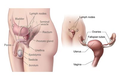 Female On Male Sex 37