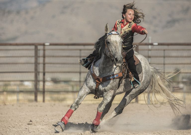 The Barrel Distances in a Standard WPRA Barrel Pattern