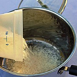 rice jasmine measuring schmidt darlene corp copyright