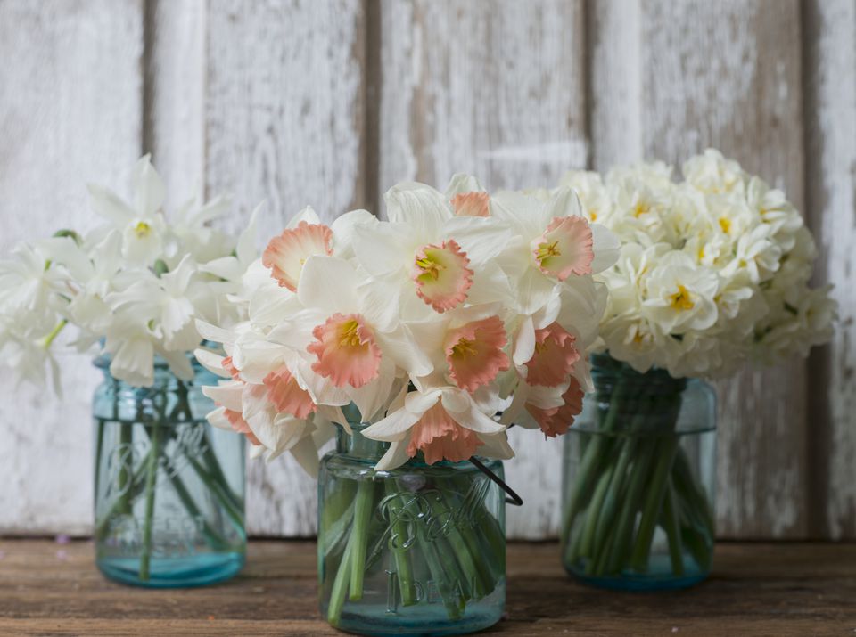 The 35 Best Spring Wedding Flowers in Season