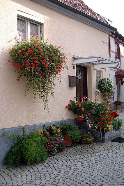 Flowers for Sunny Window Boxes