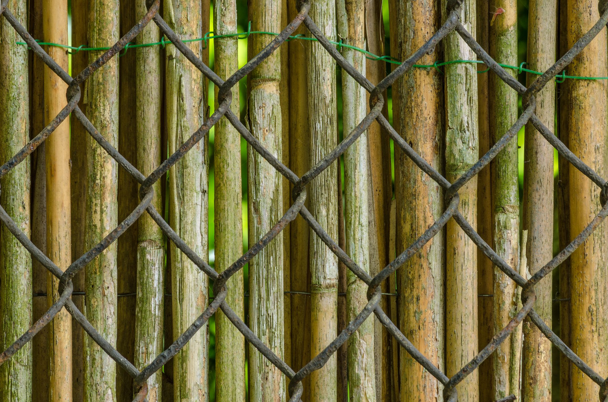 5 Ways To Cover Up A Chain Link Fence
