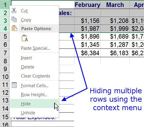 in option filter hide excel Hide Rows and Unhide and in Excel Columns